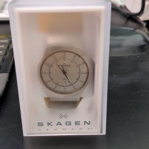 Skagen Denmark watch